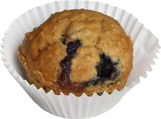 Blueberry oat muffins